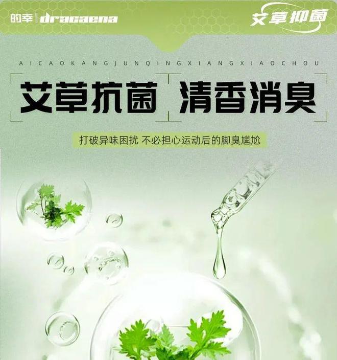垫全方位呵护你的运动健康千亿平台网站草本